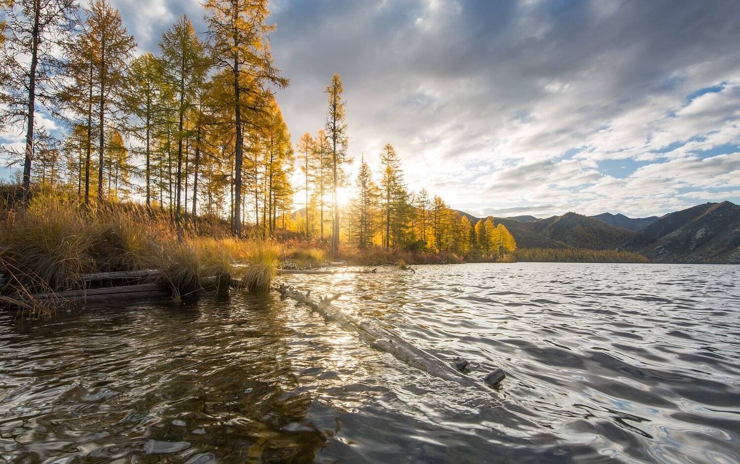 , Павел Глушков