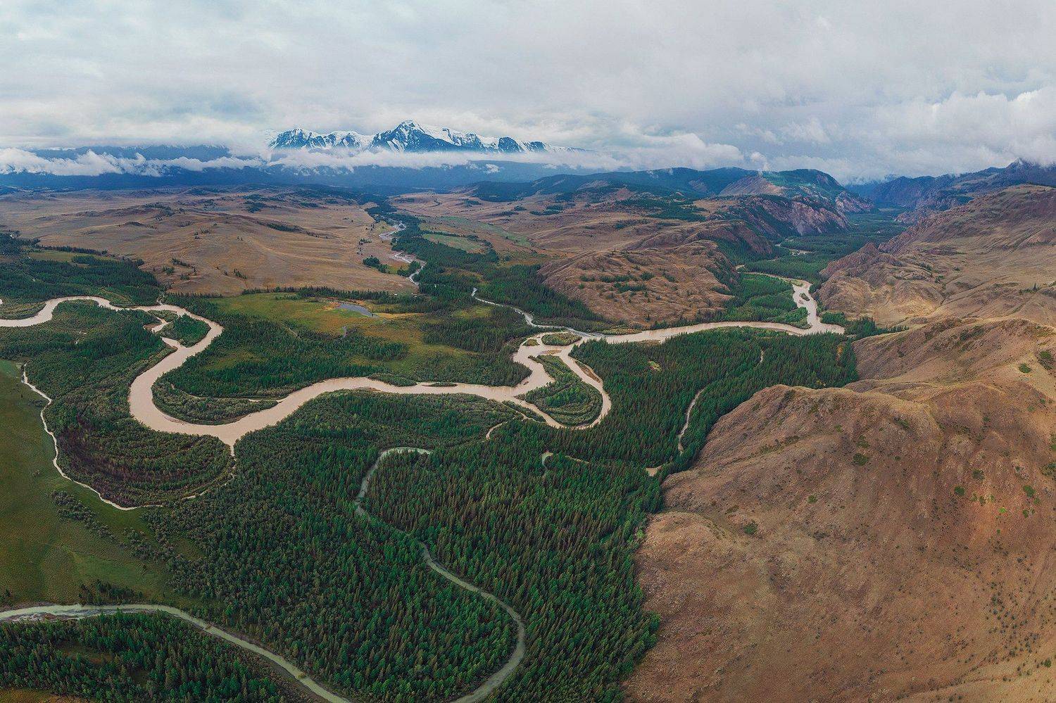 алтай, курай, Руслан Олинчук