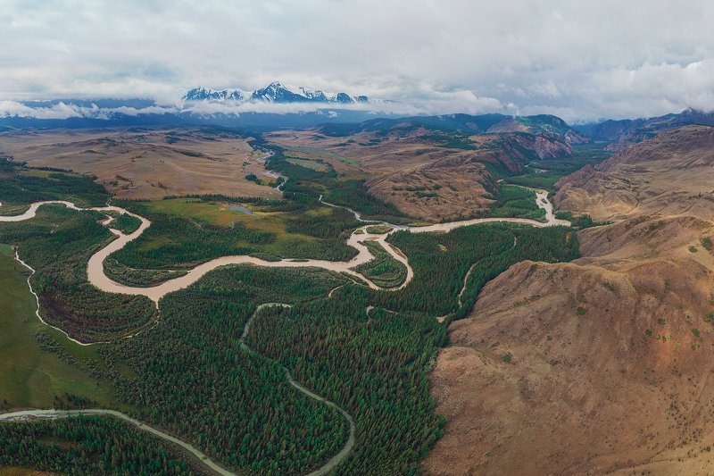 алтай, курай Артерия Курая фото превью