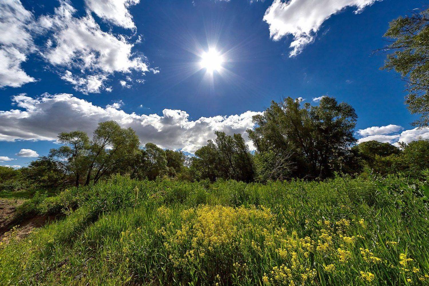 южный, урал, губерля орск, новотроицк, Качурин Алексей