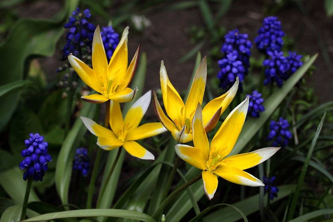 , Сергей Фудиненко