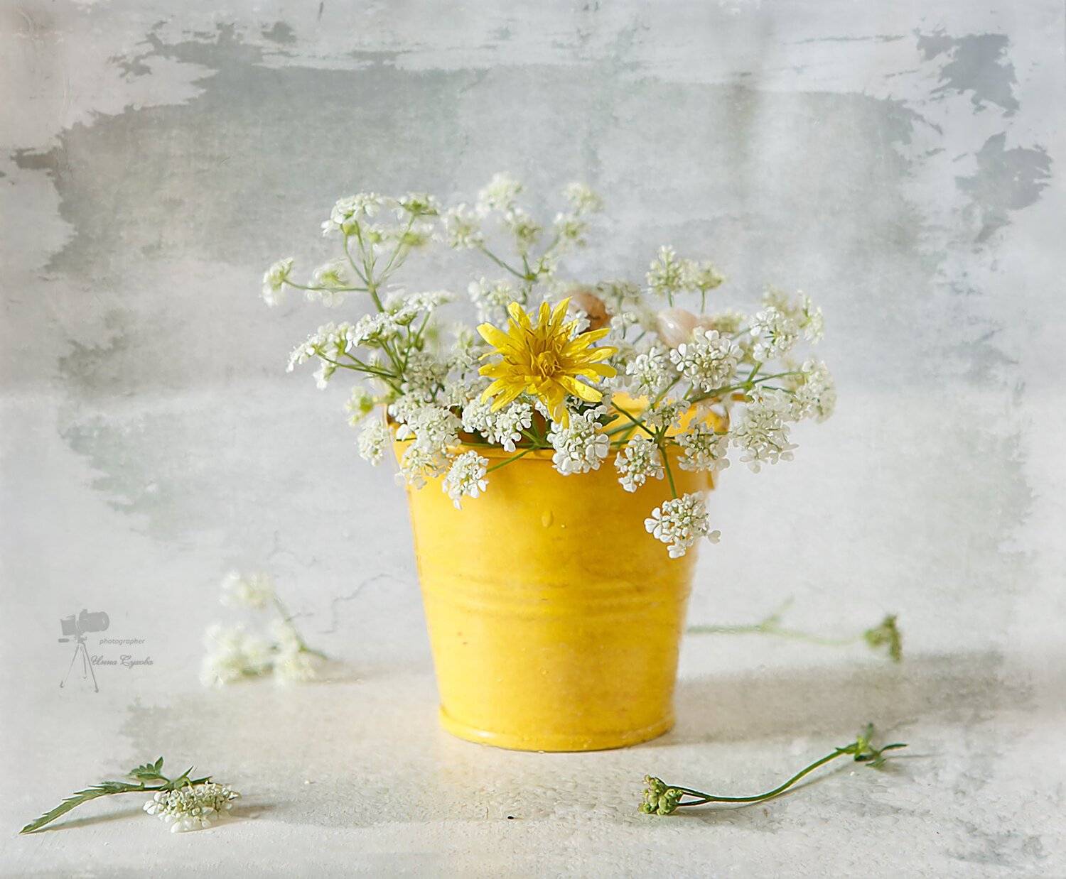 , Инна Сухова