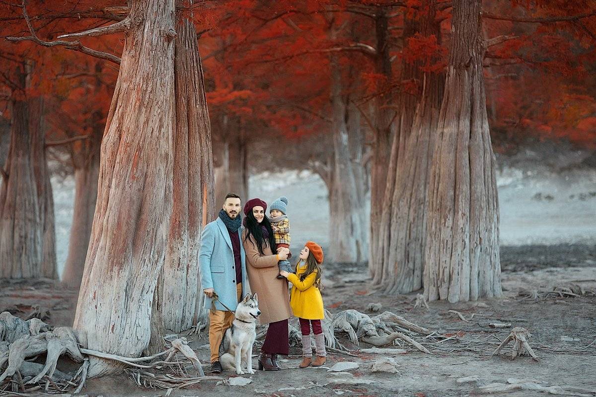 фотопрогулка, детская фотосессия, осень, семья, семейная фотосессия, детский и семейный фотограф, фотосессия, радость, девочки, счастье, детский фотограф, детское фото, мама, папа, дочки, дети на фото, сестрички, семейное фото, кипарисы, закат, любовь, Францева Ольга