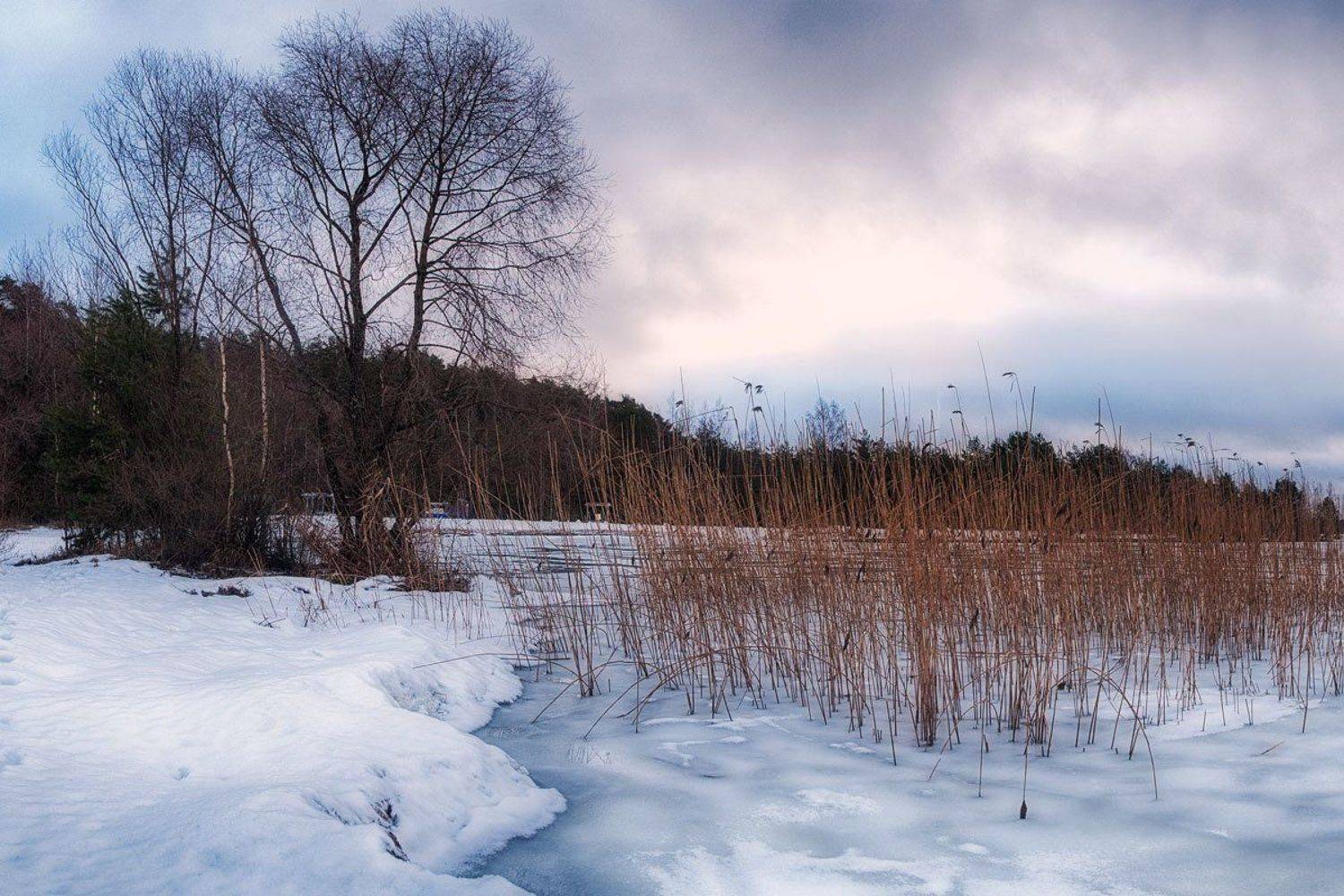 , Федотов Антон