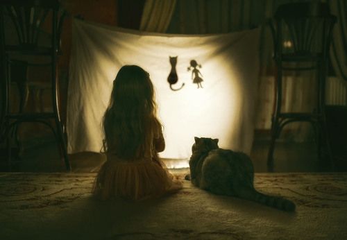 Вечерний показ.