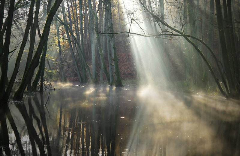...  фото превью