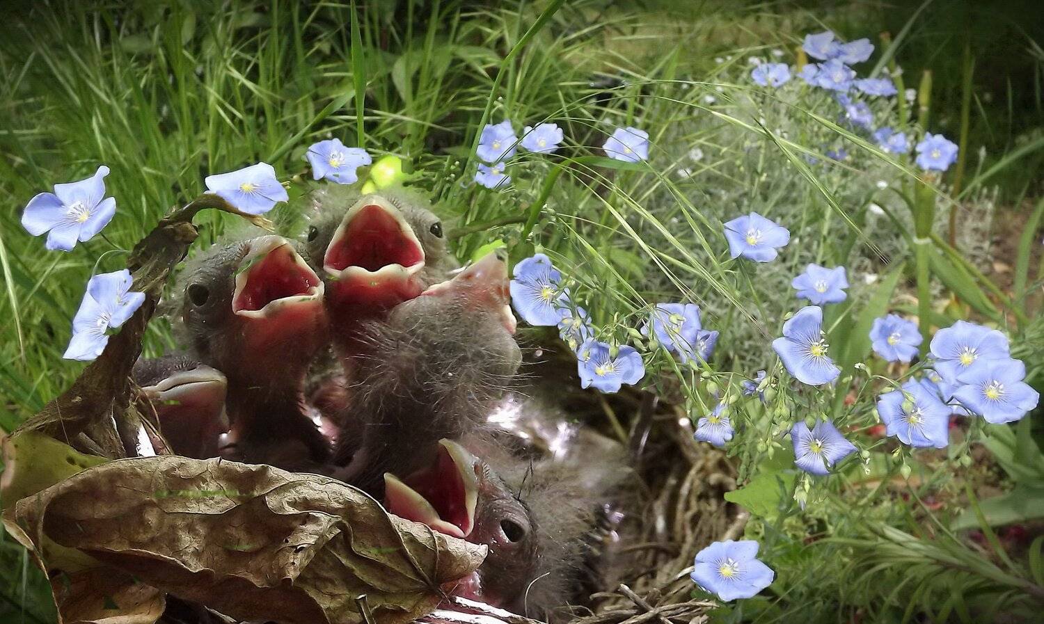 одесса, Сергей Кошелев