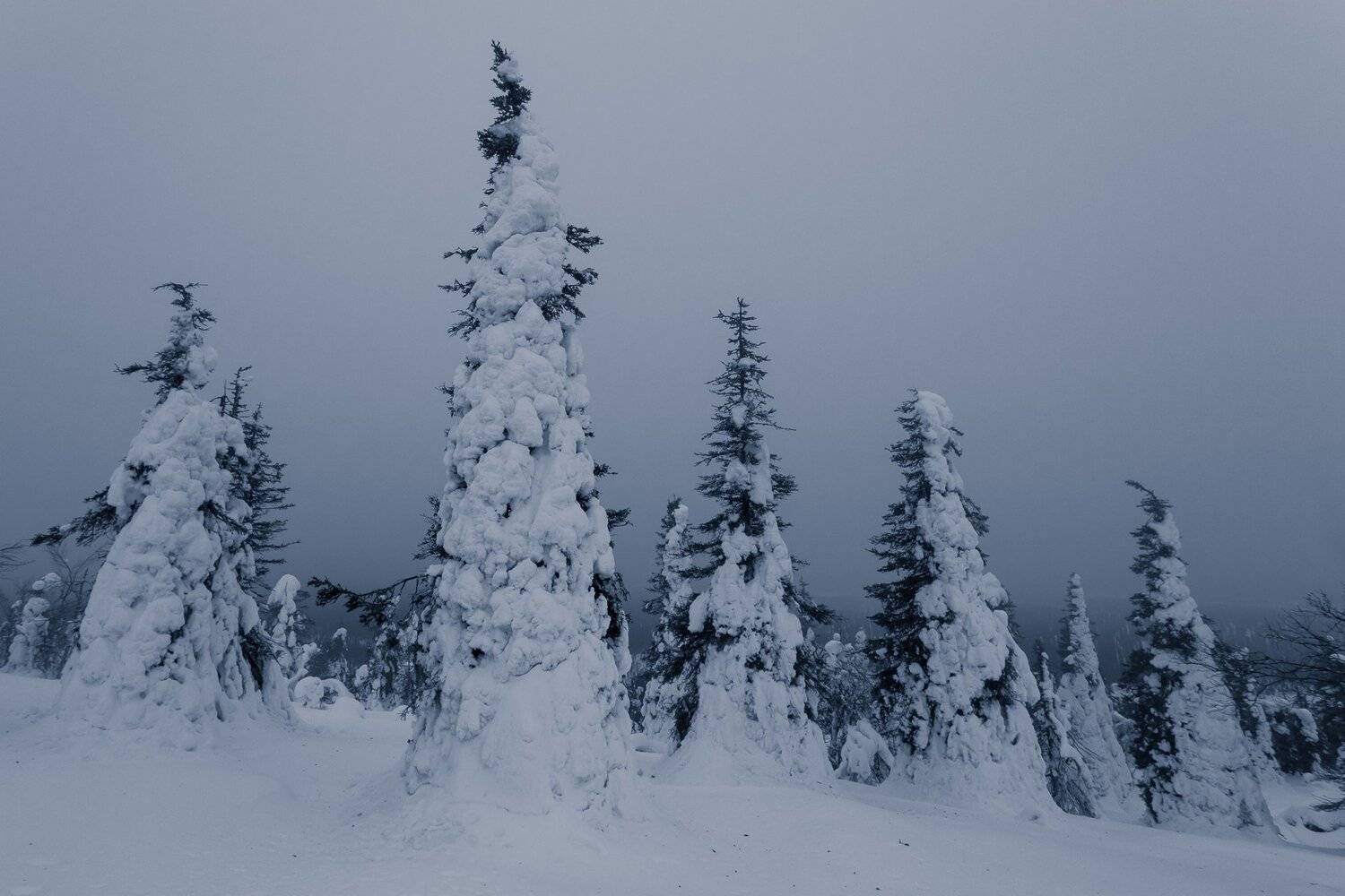 лапландия, финляндия, рииситунтури, Александр Писарев