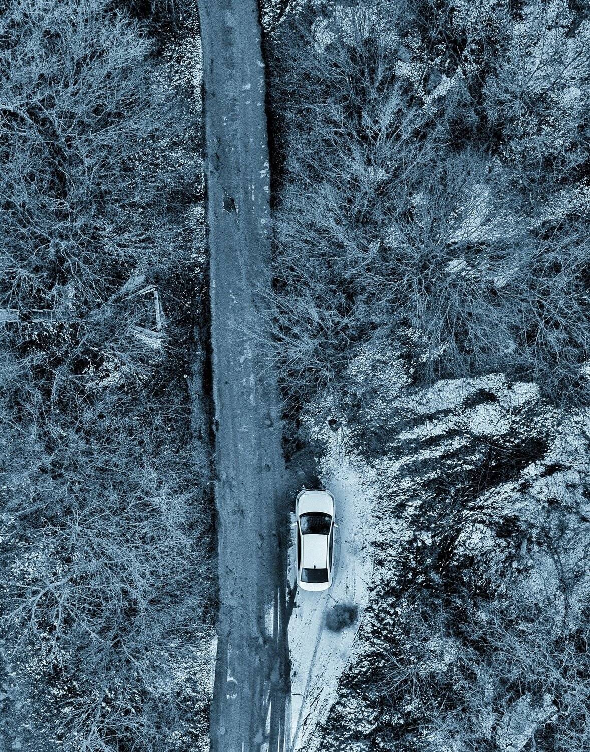 , Александр Шинкаревский