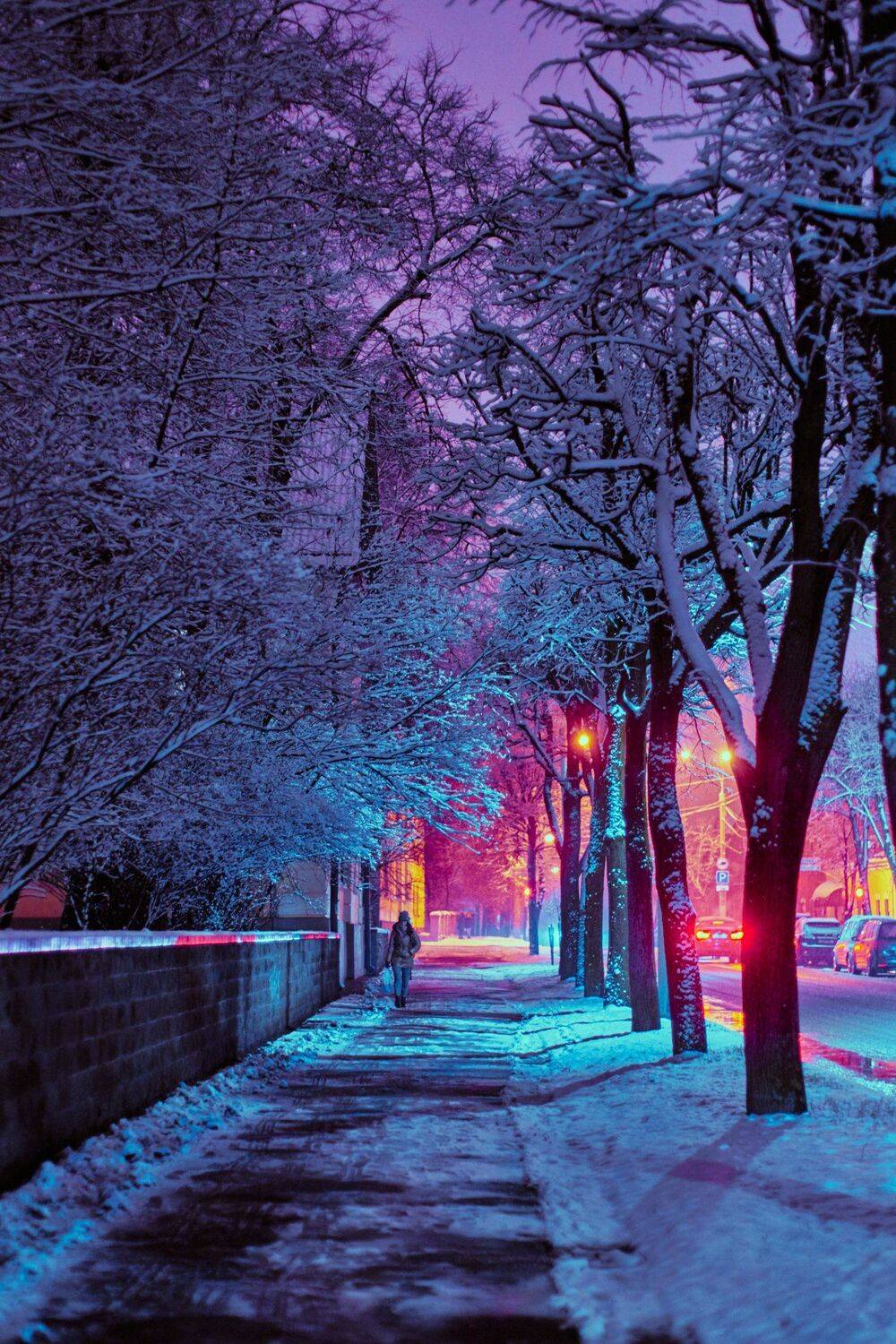 , Александр Фанковин