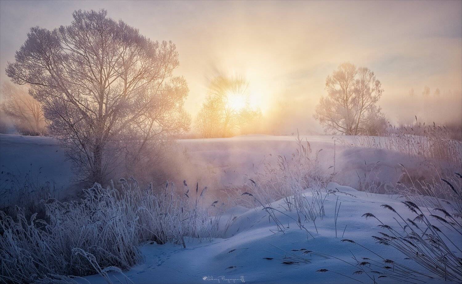 , Алексей Богорянов