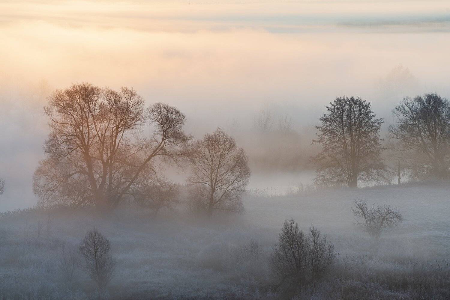 , Дмитрий Новоселов