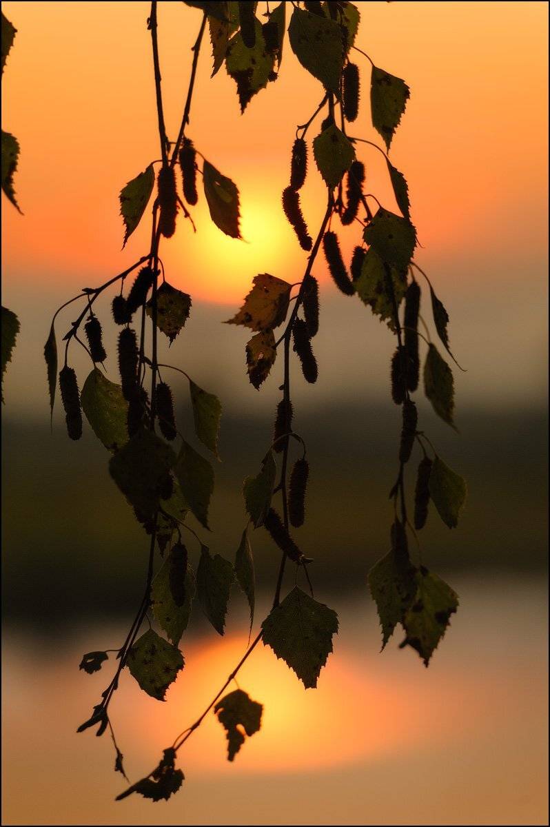 , Андрей Шумилин