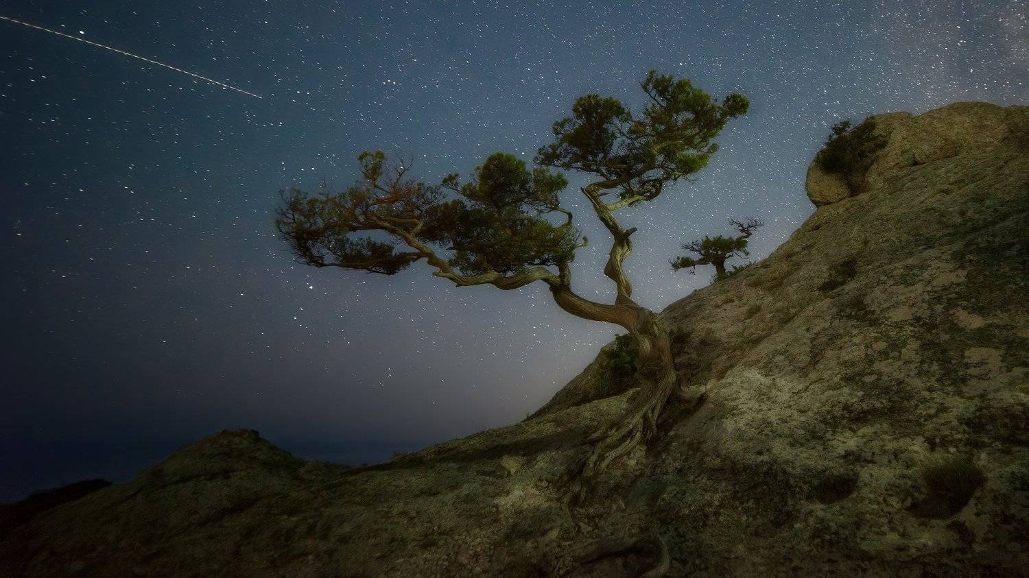 , Alexander Plekhanov