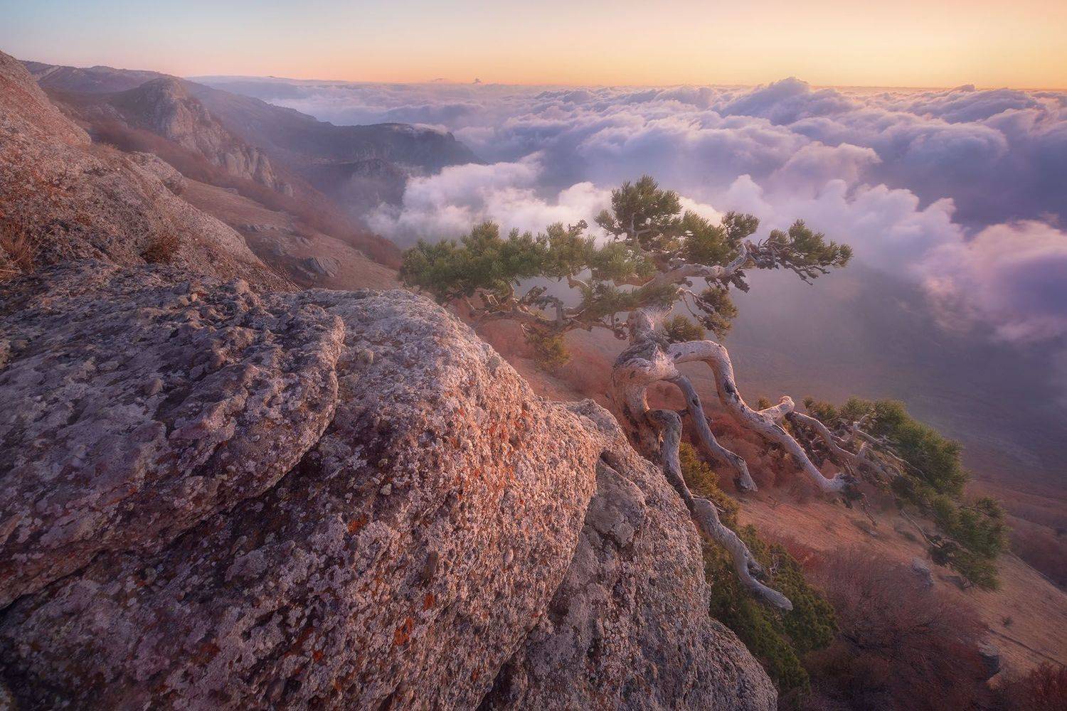 , Александр Костенко