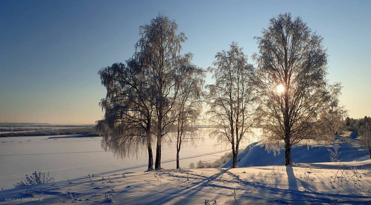 пейзаж, николай дмитрук