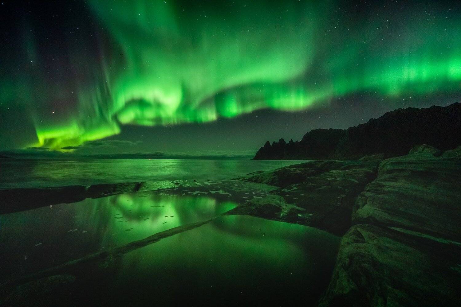 Night Spectacle. Автор: Pawel Uchorczak , Pawel Uchorczak