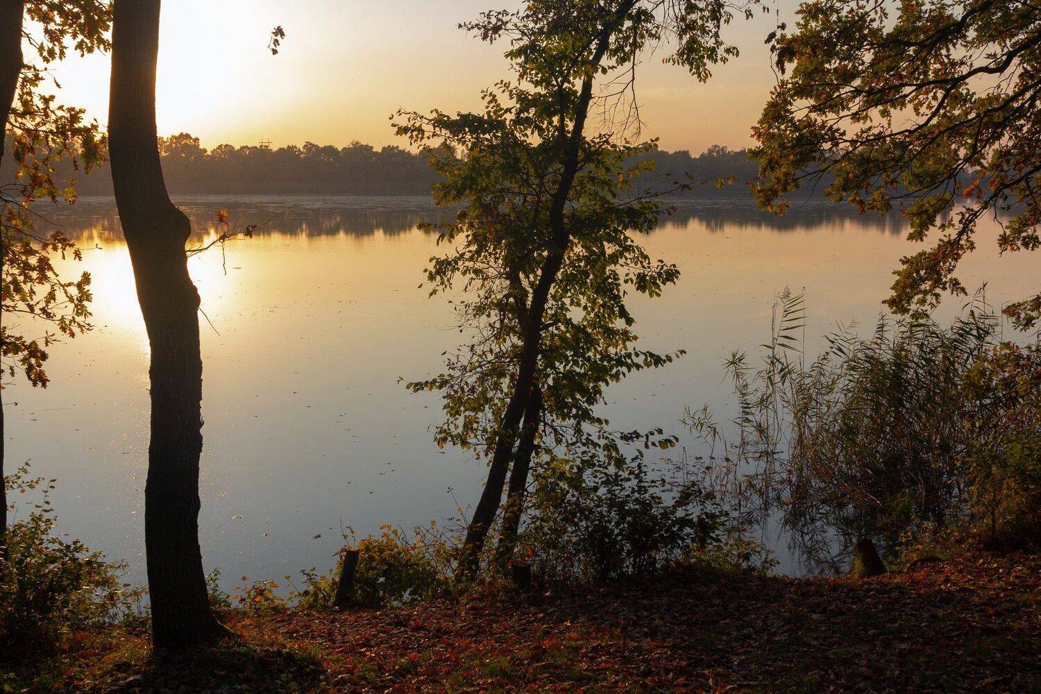 на, заре, Алексей Рыльский