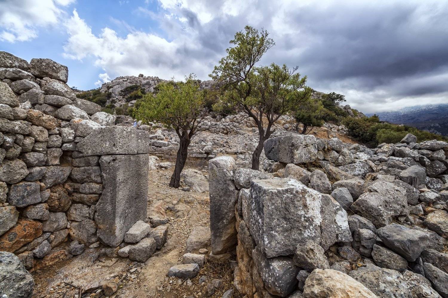 , Бистра Стоименова