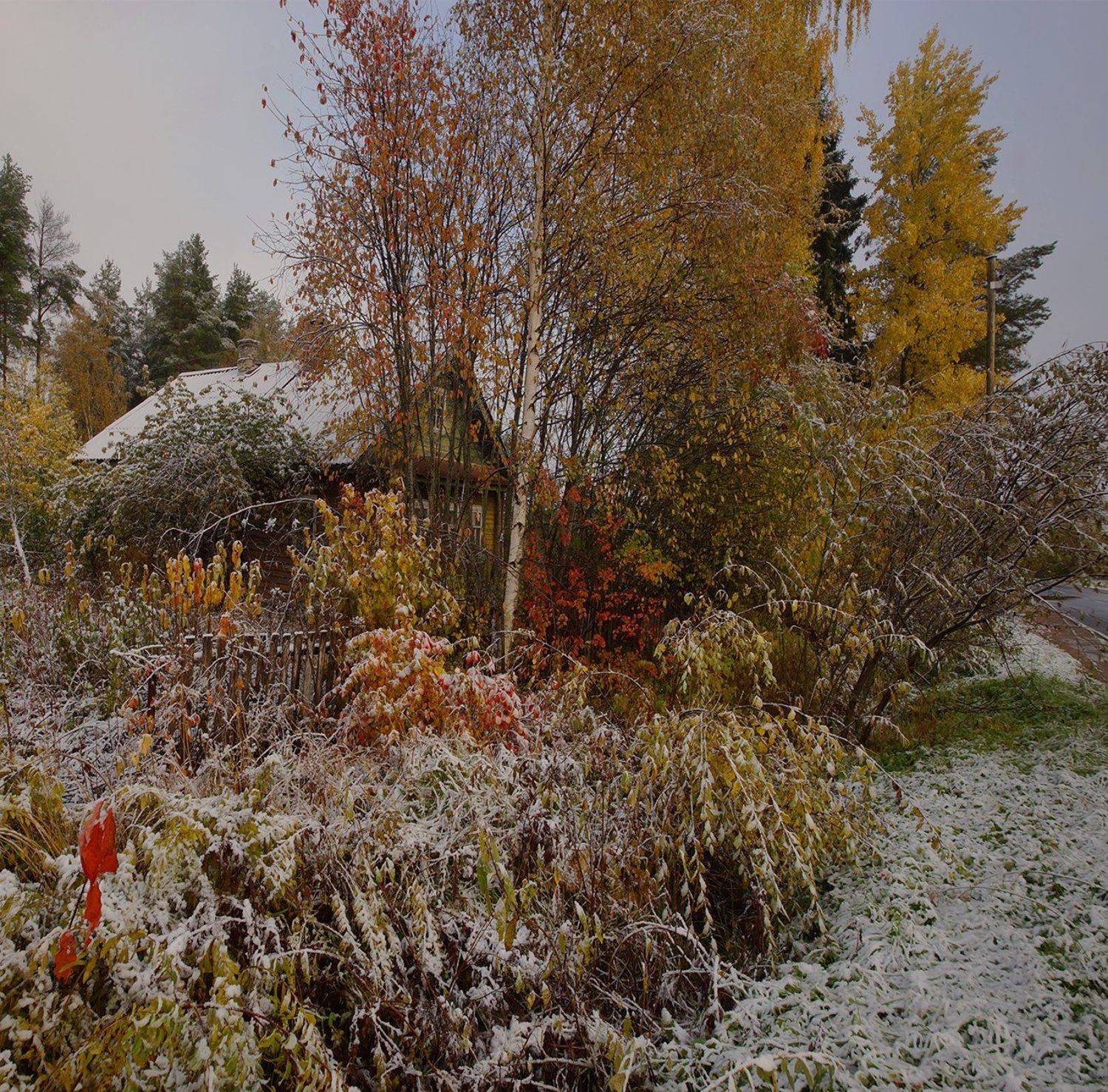 , Петр Косых