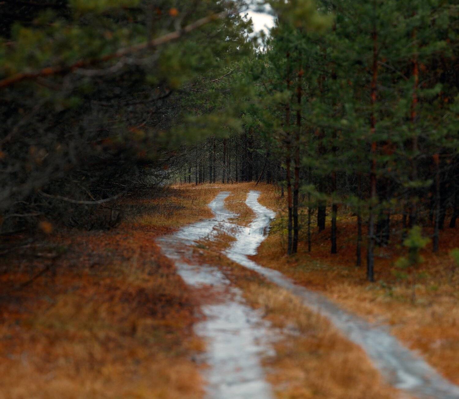 пейзаж, Сергей Сергеев
