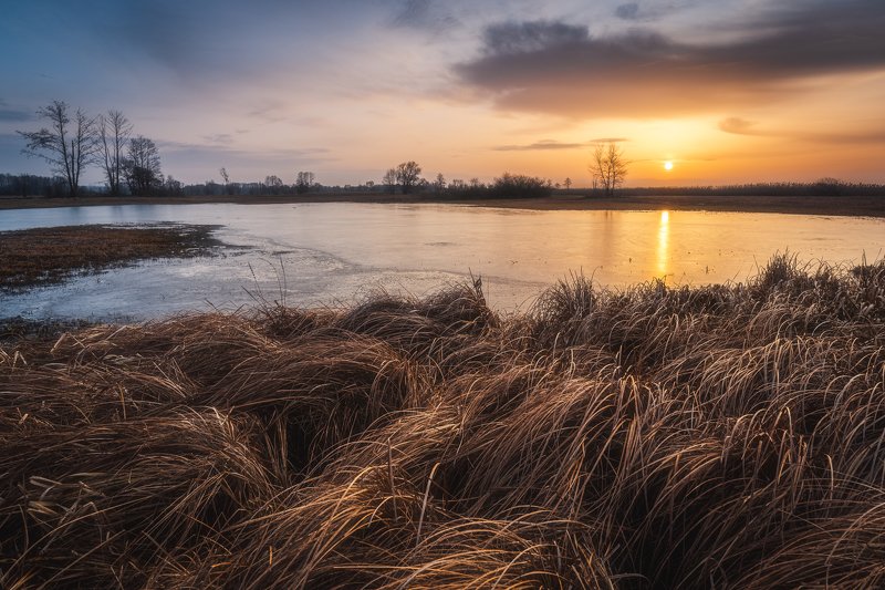 Sunset over the pilica river backwaters, Poland фото превью