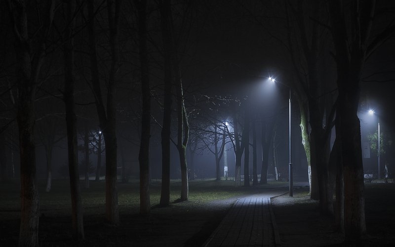 fog city citylife citylights citynight cityscape, cityscapes, foggyforest, forest, light, lightning, lights, nature, naturelandscape, naturephotography, foggylandscape, минск,беларусь, пейзаж,городской пейзаж, туман The city is covered with fog фото превью