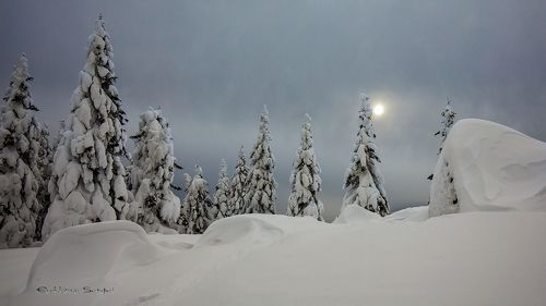 Февраль