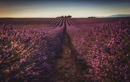 между рядами