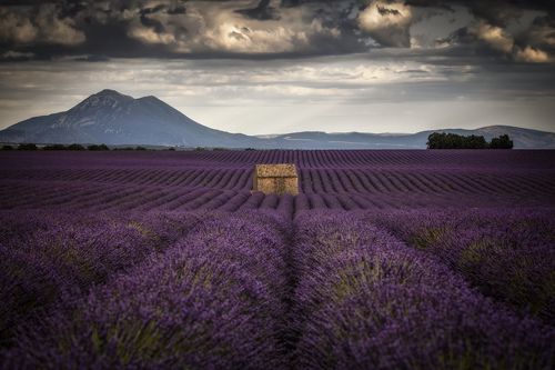 потерялся в поле