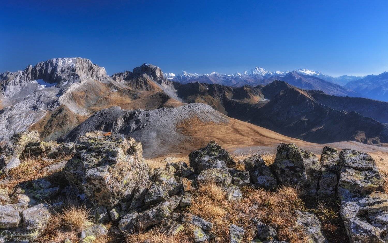 , Александр Круль