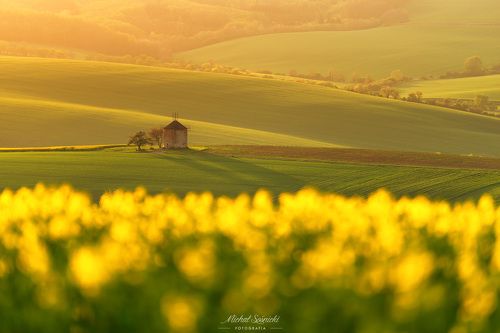 Windmill in Moravia...