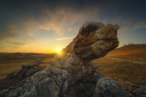 Тажеранская черепаха)