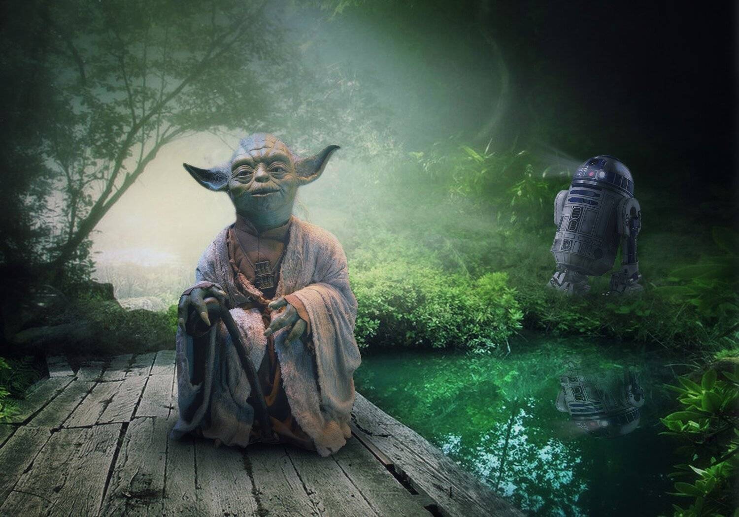 йода, лес, река, Sergii Vidov