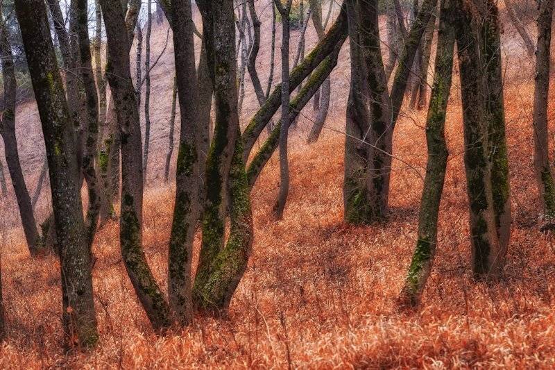 , Павел Сагайдак