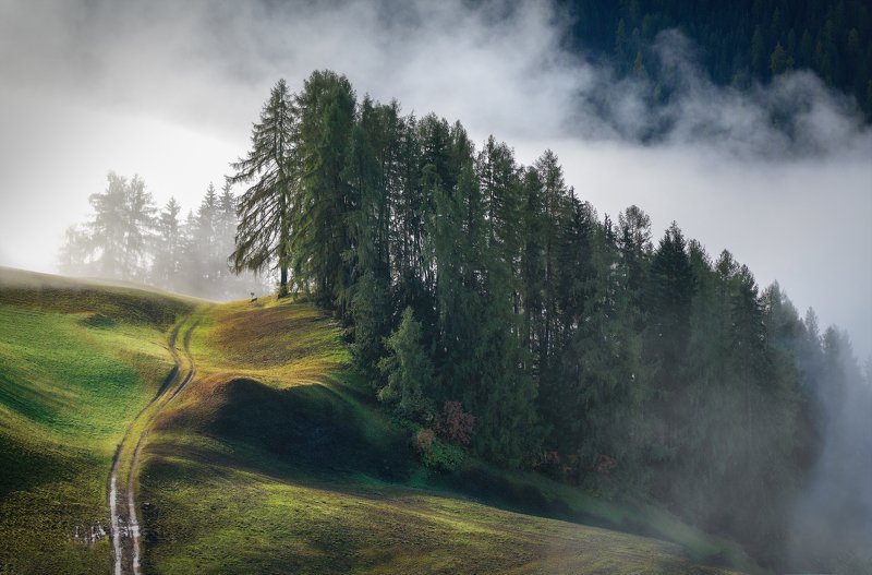 Италия, Альпы Опушка фото превью