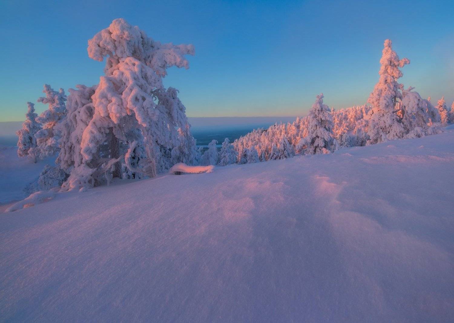 , Романский Владимир (NikonZoom)