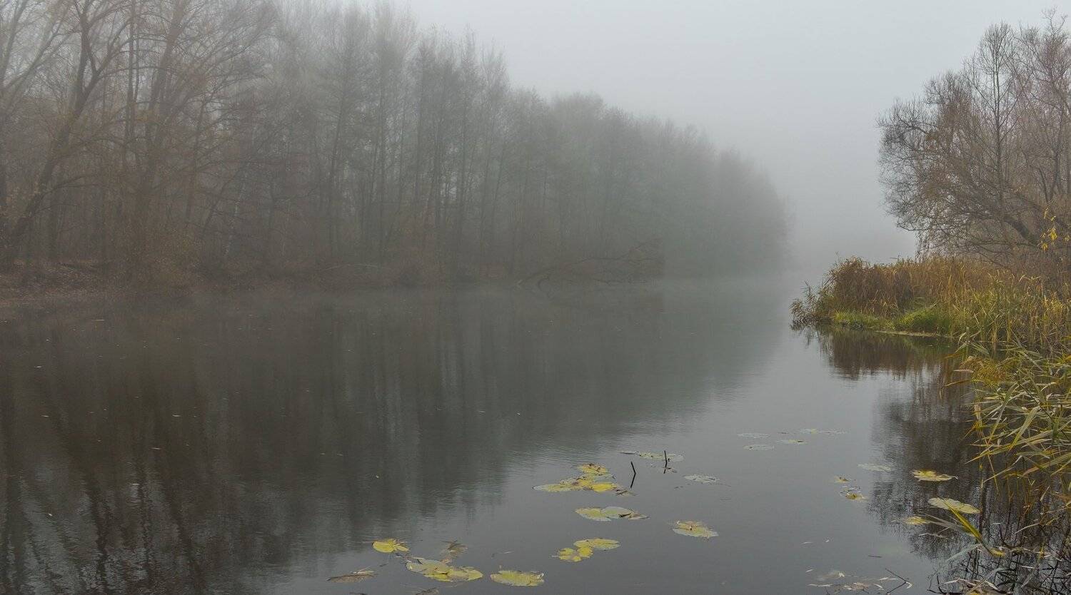 туман, осень, вода, Руслан Востриков