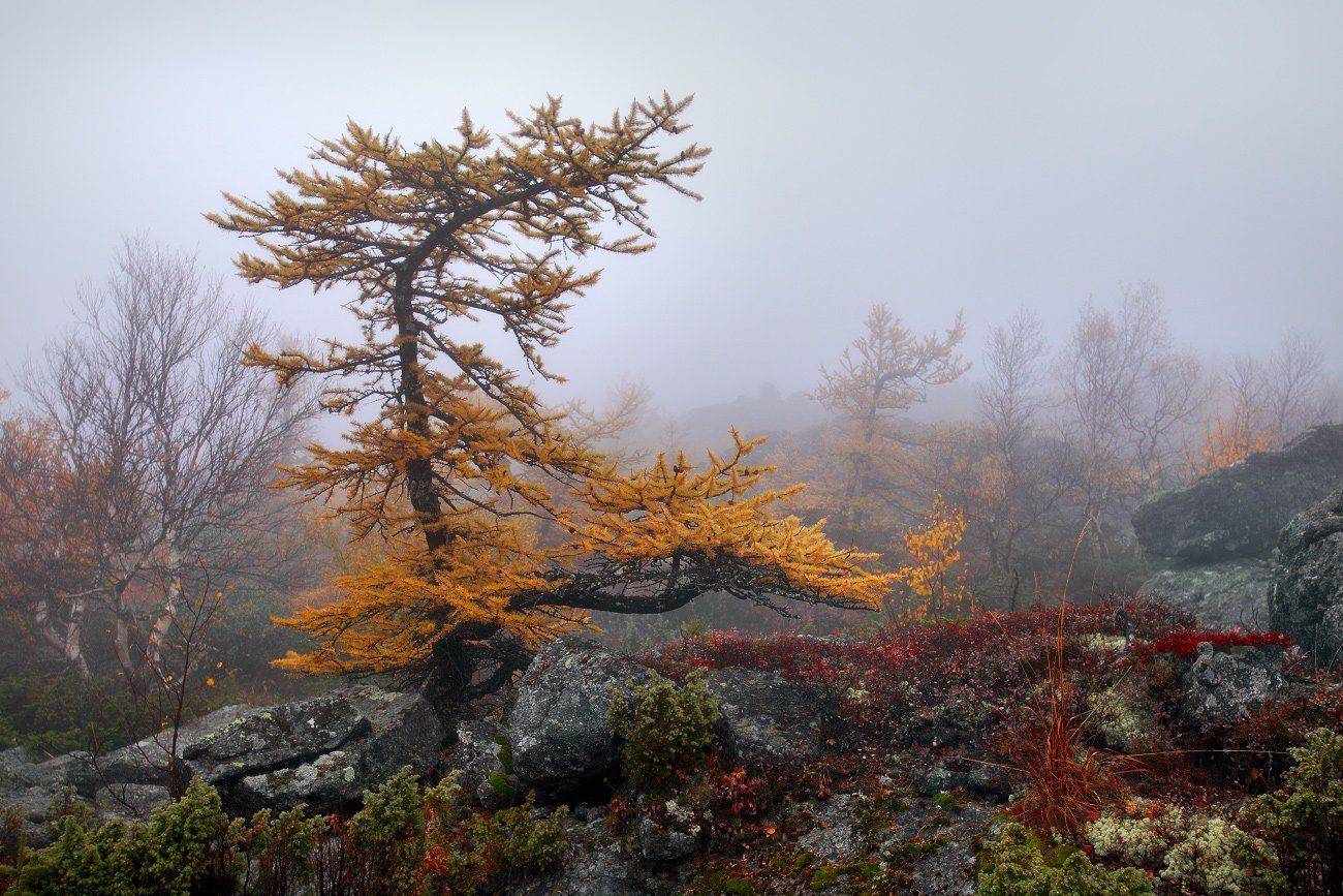 урал, осень, серебрянский камень, Сергей Макурин
