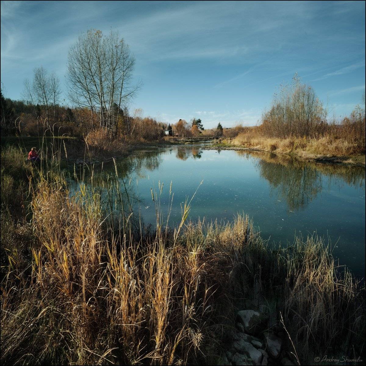 , Андрей Шумилин