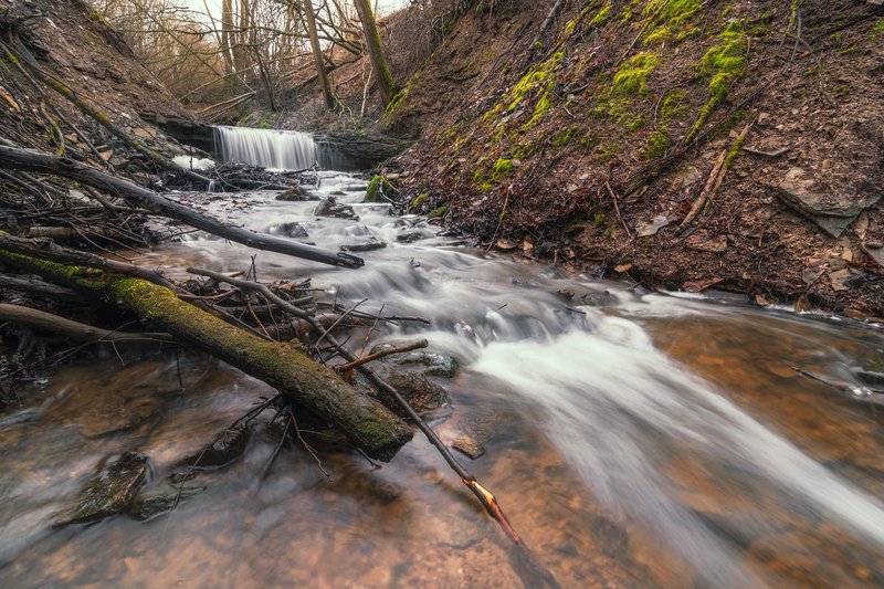 ручей, лес, природа, вода Зимний ручей фото превью