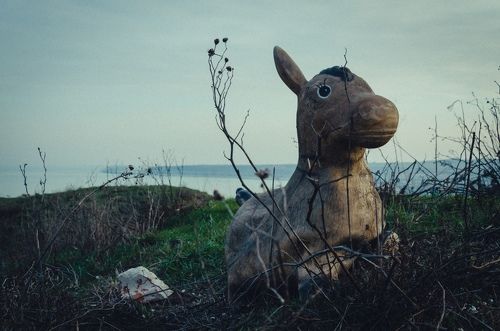 Январские хроники Пантикапея.