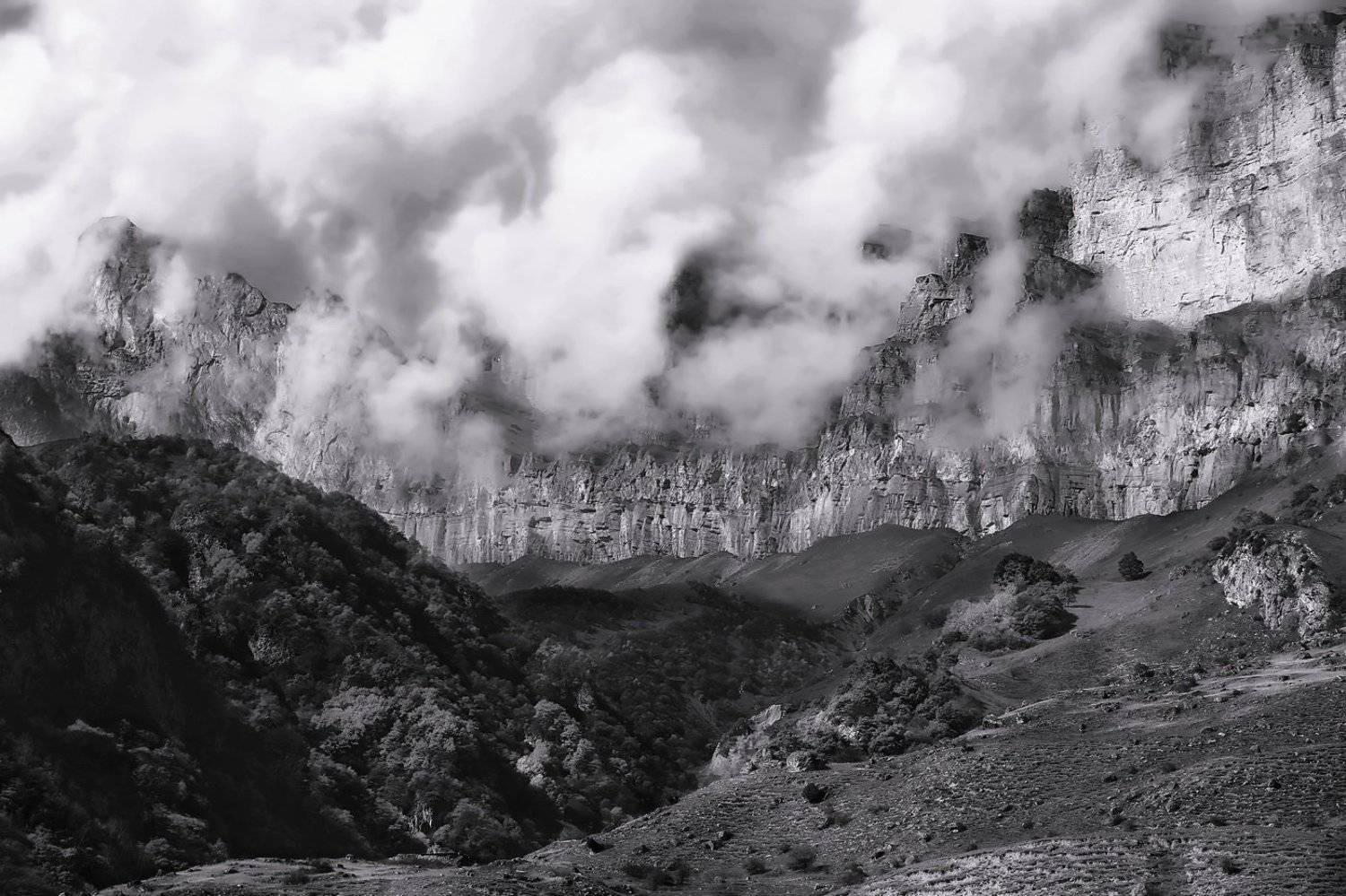 , Дмитрий Петухов