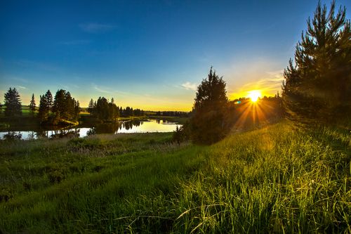 Вечер в Бураново 