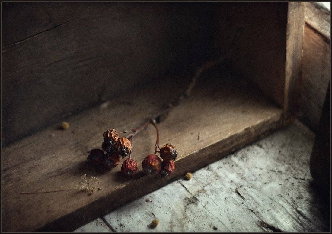 , Александр Хромеев