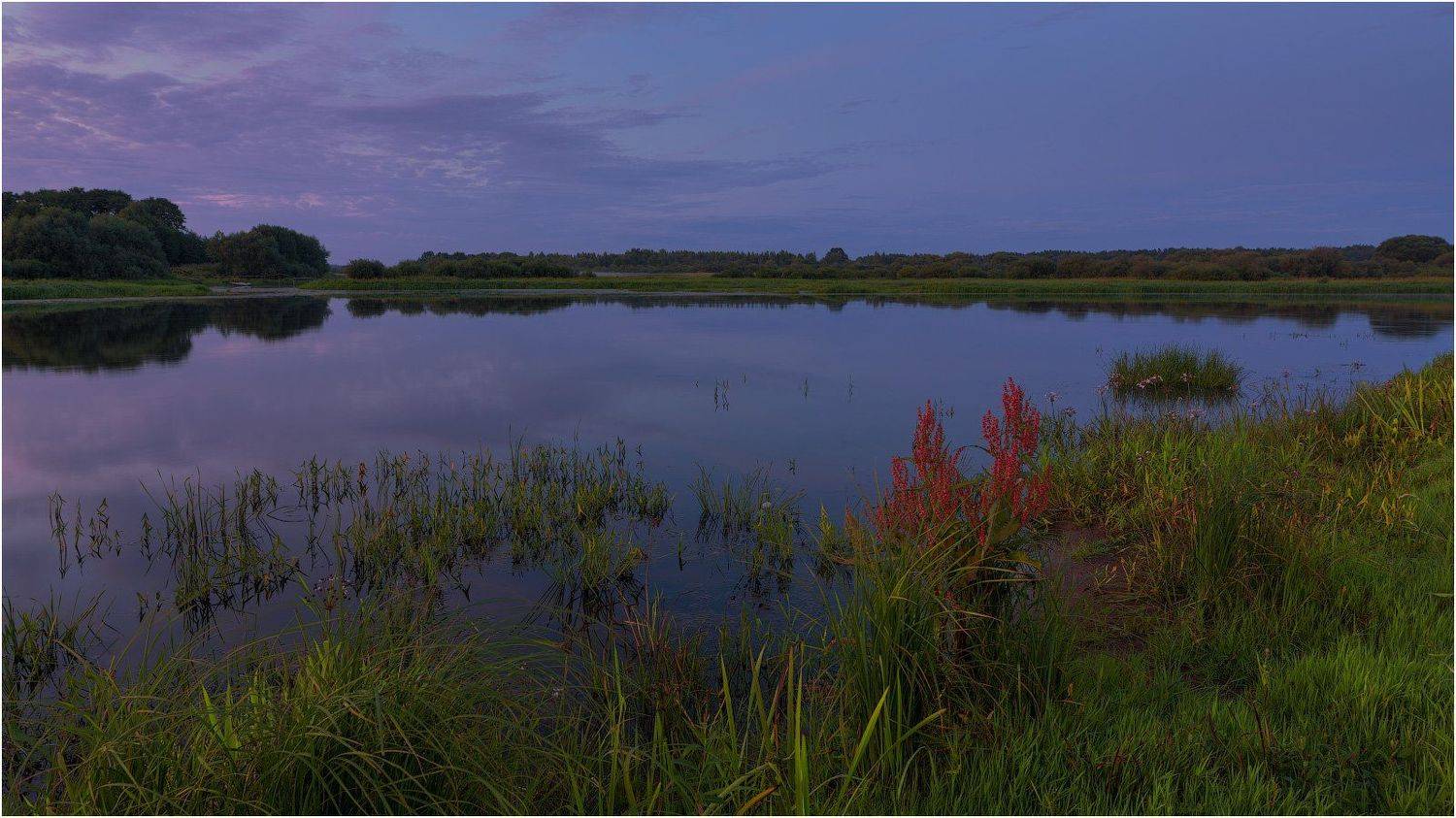 река березина, вечер, июль, зелень, отражение, Михаил Кушнер