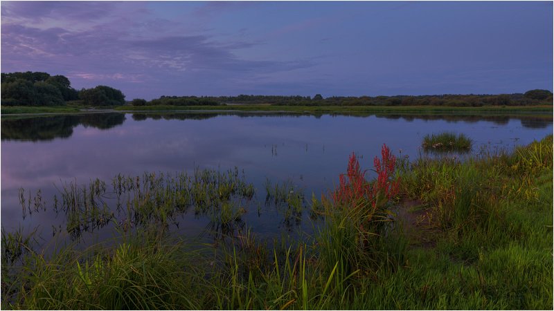 река березина, вечер, июль, зелень, отражение Летним вечером на берегу фото превью