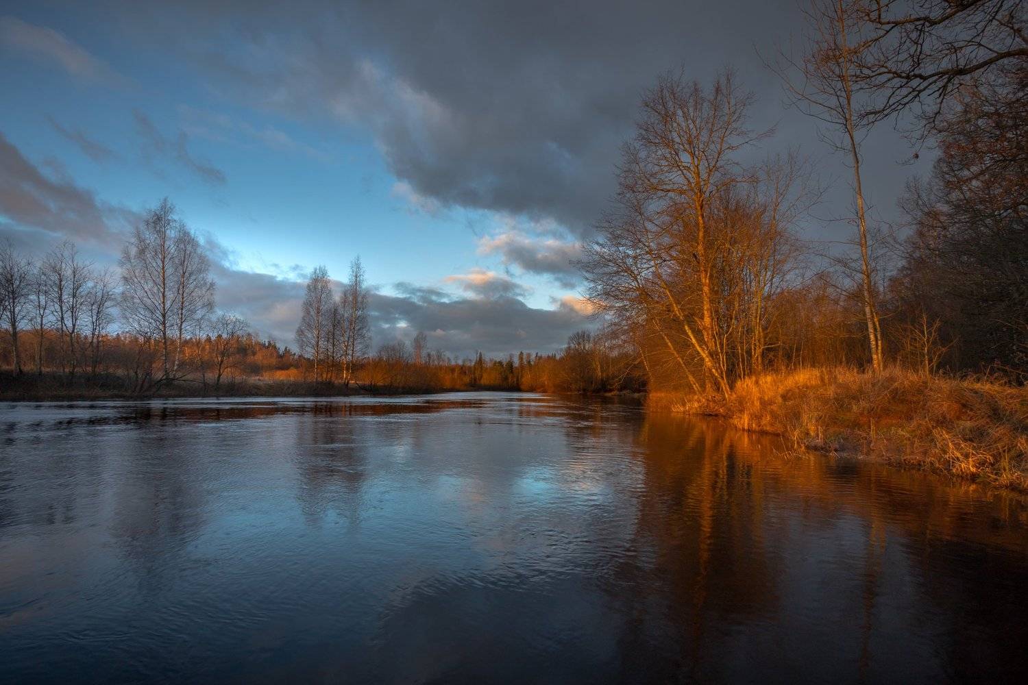 , Елена Маковоз