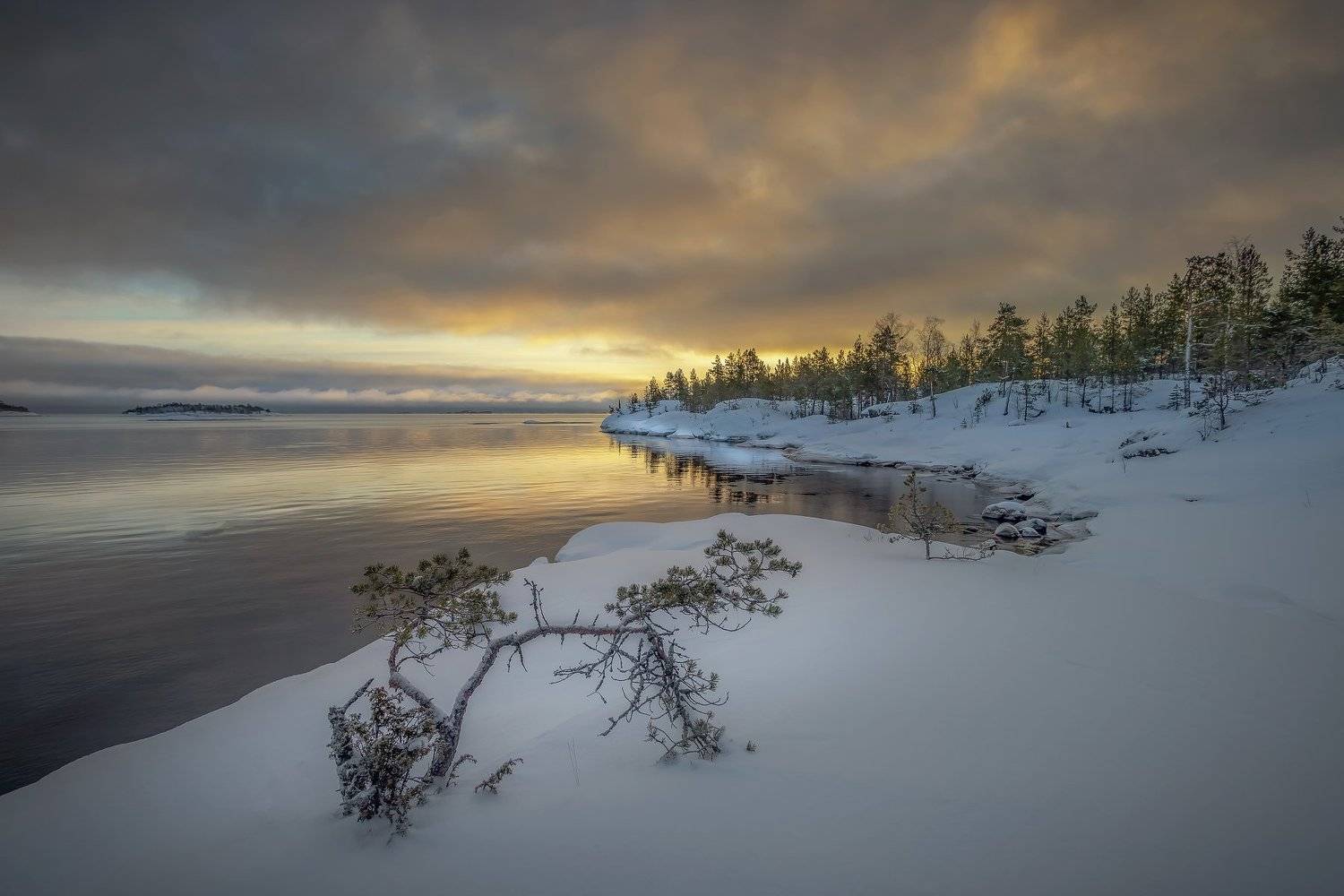 , Елена Маковоз