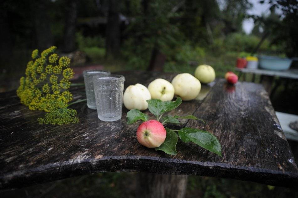 , Дарья Васильева